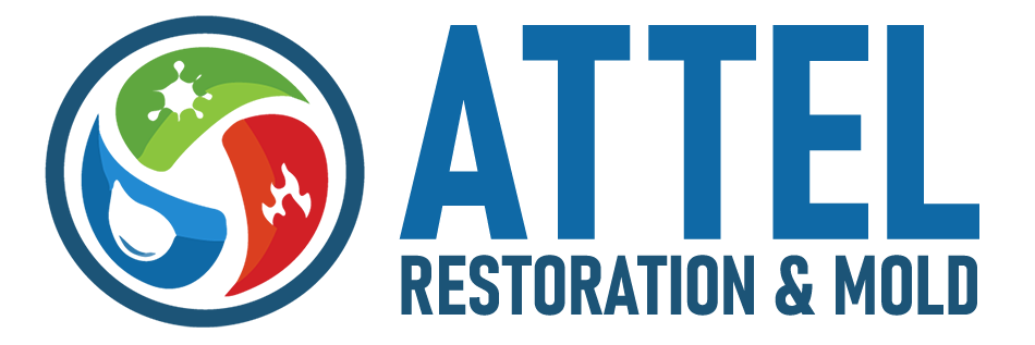 Attel Restoration and Mold